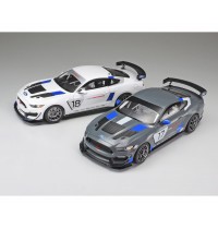 1:24 Ford Mustang GT4