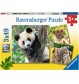 Ravensburger - Panda