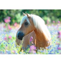 Ravensburger - Pferd im Blumenmeer