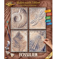 MNZ - Fossilien Quattro 