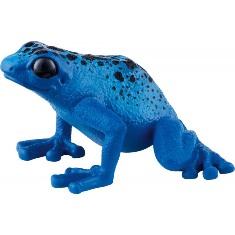 blauer Pfeilgiftfrosch 