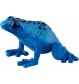 blauer Pfeilgiftfrosch 