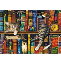 Schmidt Spiele - Charles Wysocki - Frederick