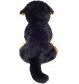 Teddy-Hermann - Berner Sennenhund sitzend 26 cm