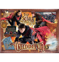 Winning Moves - Puzzle - Harry Potter Quidditch