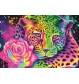 P1000 Neon Regenbogen-Leopard P1000 Neon Regenbogen-Leopard