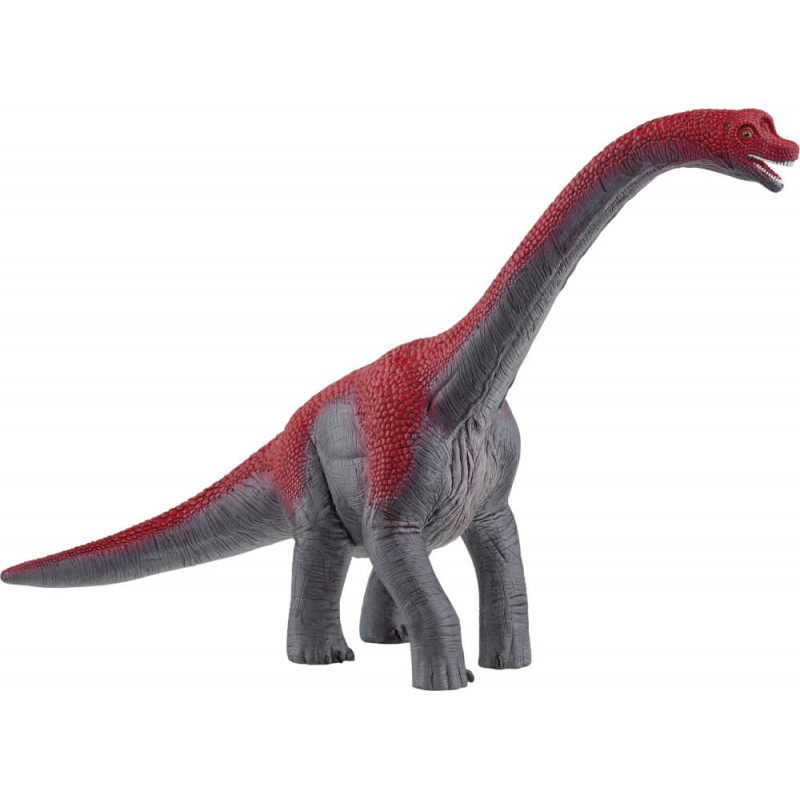 Brachiosaurus 