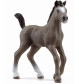 Schleich - Horse Club - Cheval de Selle Francais Fohlen