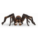 Schleich - Wizarding World - Aragog