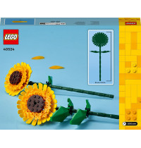 LEGO Iconic 40524 - Sonnenblumen