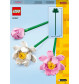 LEGO Iconic 40647 - Lotusblumen