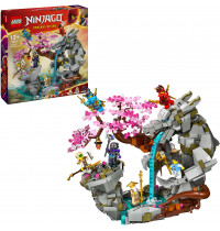 LEGO Ninjago 71819 - Drachenstein-Tempel