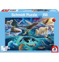 Schmidt Spiele - Tiere in der Arktis