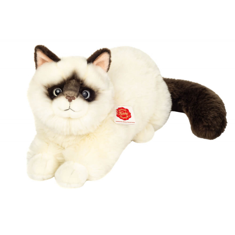 Katze Ragdoll 36 cm