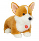 Corgi 30 cm