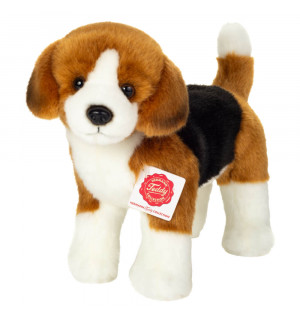 Beagle stehend 23 cm